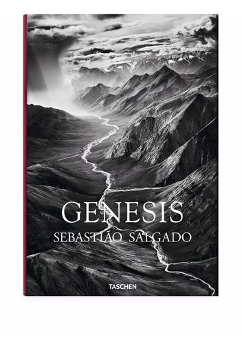 TASCHEN Sebastião Salgado. GENESIS Buch - Mehrfarbig