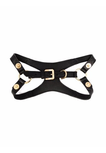 Versace Medusa-stud pet harness - Schwarz