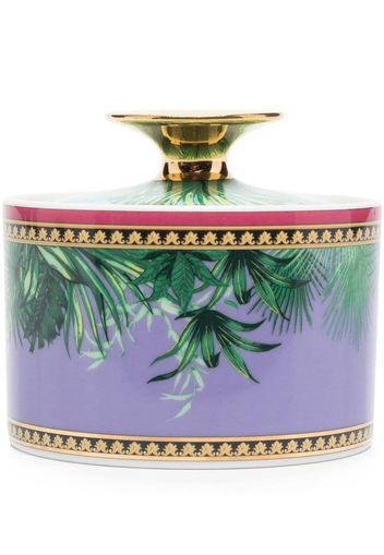 Versace palm-tree ceramic lid-bowl - Violett