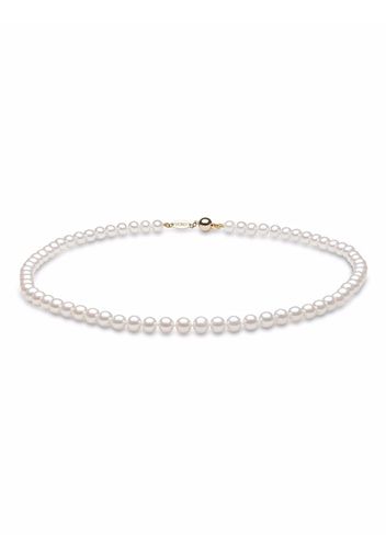 Yoko London 18kt yellow gold Classic 6mm Freshwater pearl necklace