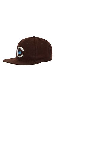 Chicago Whales Cap