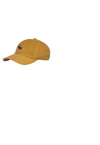 Washed Low-Profile Logger Cap