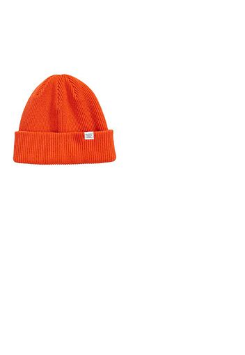 Norse Beanie