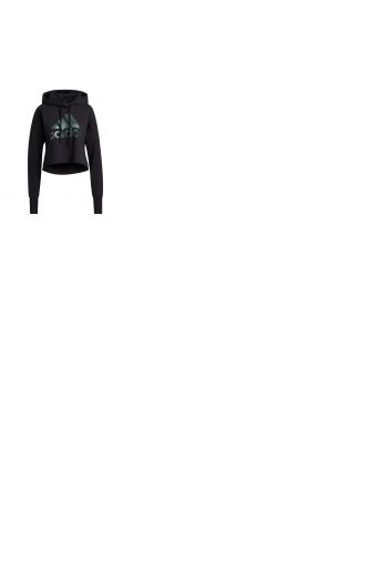 Holiday Graphics Crop Hoodie Women