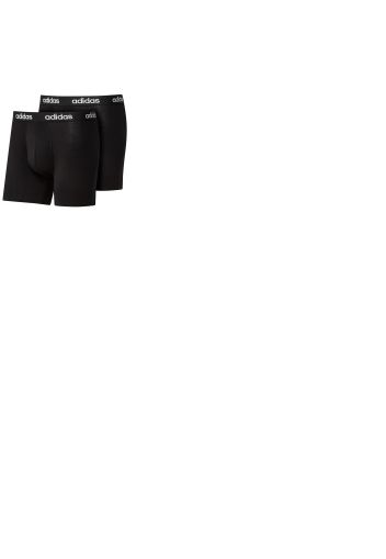 Essentials Linear Brief 2 Pack