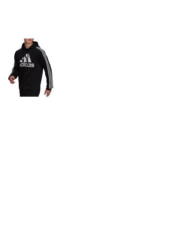 Essentials Big Logo 3S Fleece Hoodie