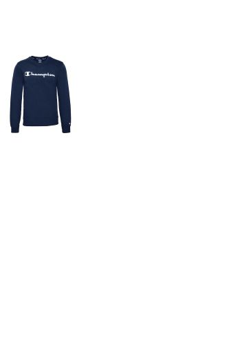 Crewneck Logo Fleece Sweatshirt