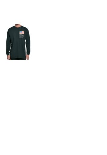 NASA Worm Logo Longsleeve