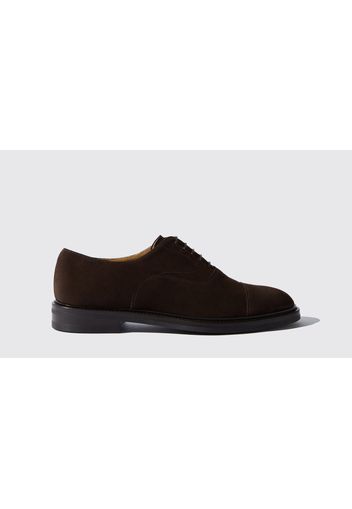 Oxfords Jacob Brown Suede Veloursleder