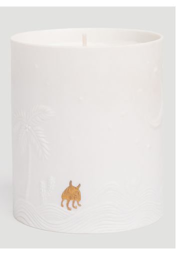 Mojave Palm Candle -  Candles&scents One Size