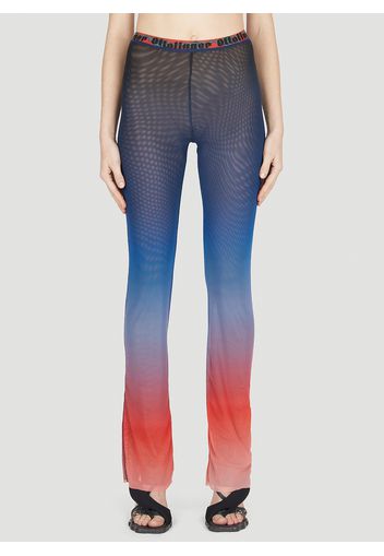 Mesh Pants - Frau Hosen Xs