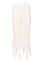 Alanui chevron-knit maxi skirt - Toni neutri