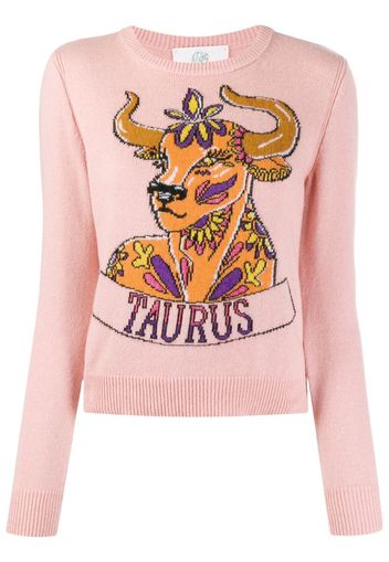 Love Me Starlight Taurus jumper