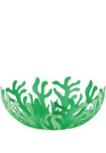 Alessi Mediterraneo large fruit holder - GREEN