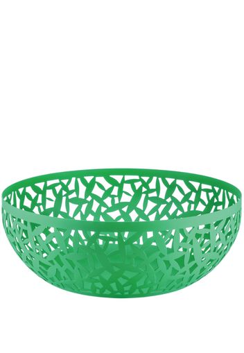 Alessi Cactus steel fruit holder - GREEN