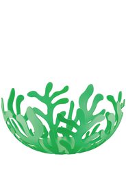 Alessi Mediterraneo small fruit holder - GREEN