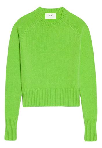 AMI Paris Maglione girocollo - Verde