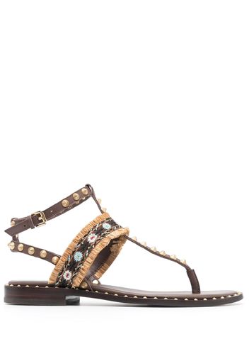 Ash bead-embellished leather sandals - Marrone