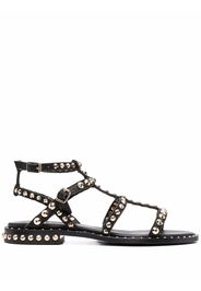ASH Sandali con borchie Precious - Nero