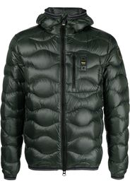 Blauer feather-down quilted jacket - Verde
