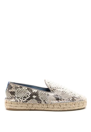 Blue Bird Shoes Espadrilles con effetto serpente - Grigio