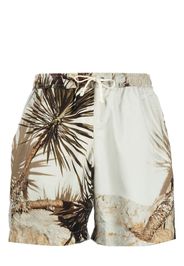 BLUE SKY INN palm tree-print drawstring swim shorts - Verde