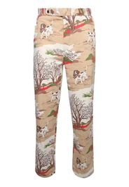BODE Pointing Dog trousers - Marrone