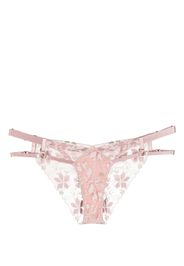 Bordelle Slip Vita Peep - Rosa