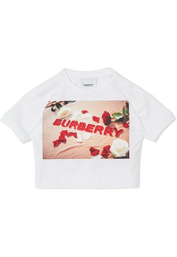 Confectionery-print cotton T-shirt