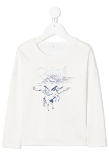 pegasus print top with embroidery