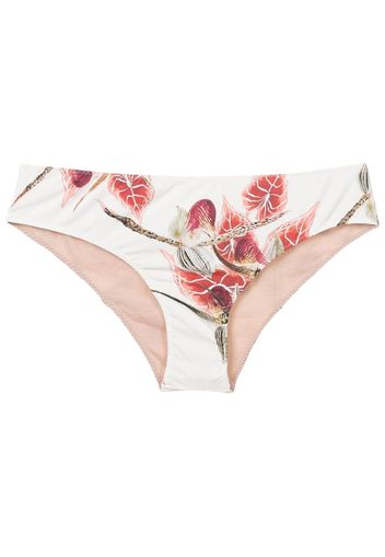 Clube Bossa Slip bikini con stampa - Toni neutri