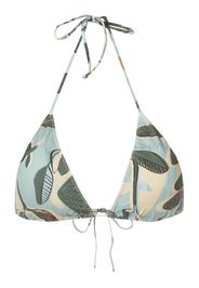 Clube Bossa Top bikini Aava - Verde