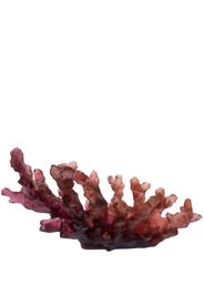 Daum Coral Sea medium bowl - Rosso