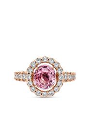 David Morris 18kt rose gold Elizabeth sapphire and diamond ring - Rosa