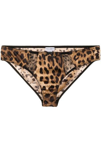 Dolce & Gabbana Tanga con stampa - Marrone