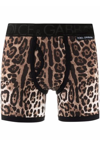 Dolce & Gabbana leopard-print briefs - Toni neutri