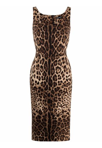 Dolce & Gabbana leopard-print square-neck fitted dress - Marrone
