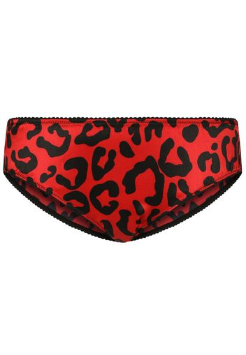 Dolce & Gabbana leopard-print briefs - Rosso