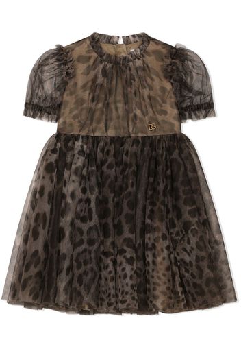 Dolce & Gabbana Kids Abito leopardato - Marrone