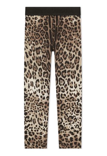 Dolce & Gabbana Kids Leggings leopardati - Marrone