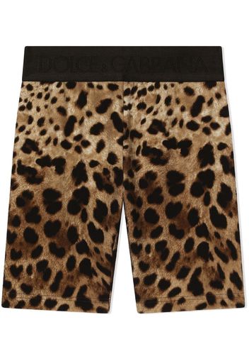 Dolce & Gabbana Kids Shorts biker leopardati - Marrone