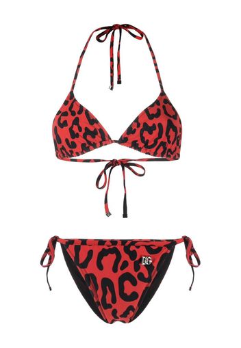 Dolce & Gabbana leopard-print bikini set - Rosso