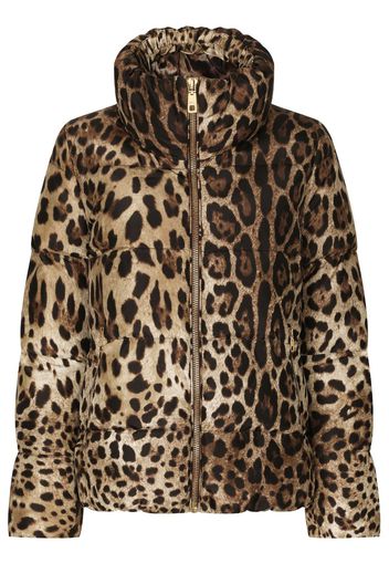 Dolce & Gabbana Piumino leopardato - Marrone