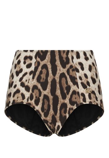 Dolce & Gabbana leopard-print high-waisted bikini bottom - Marrone