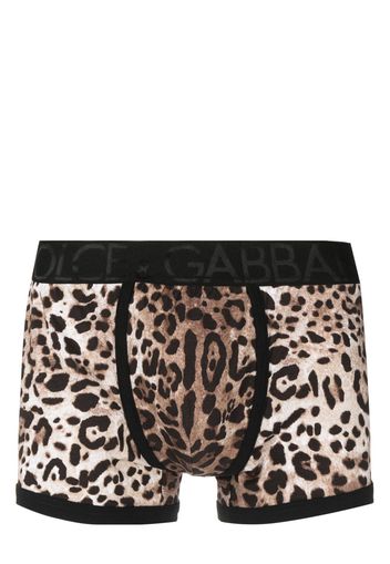 Dolce & Gabbana leopard-print stretch-cotton boxers - Marrone