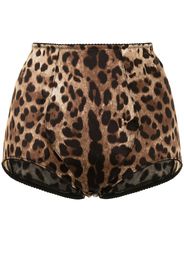 Dolce & Gabbana leopard-print high-waisted briefs - Marrone