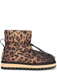 Dolce & Gabbana Stivaletti City leopardati - Marrone