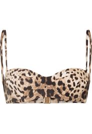 Dolce & Gabbana leopard-print bikini top - Marrone