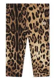 Dolce & Gabbana Kids Leggings leopardati - Marrone