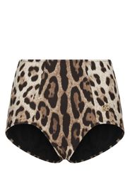 Dolce & Gabbana leopard-print high-waisted bikini bottom - Marrone